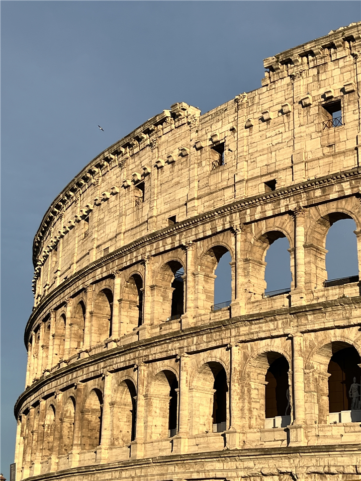 rome 4032 colloseum from mid distance excellent-crop-v2.jpeg